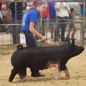 Meet your Posher, Dalayna